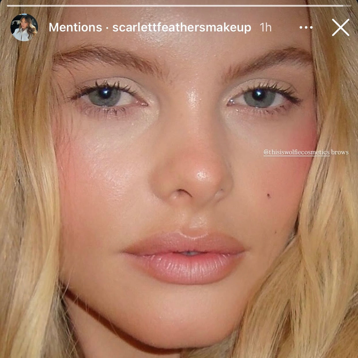 Why Professional Makeup Artists Trust Wolfie Cosmetics: Scarlett Feathers Shares Why Wolfie Is Always in Her Kit